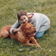 Tiernotfallkarte24-Listenhunde Bordeaux-Dogge