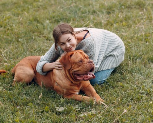 Tiernotfallkarte24-Listenhunde Bordeaux-Dogge