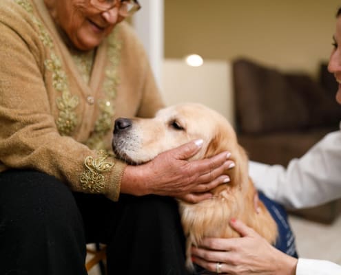 Tiernotfallkarte24-Tierhalter-Senioren-Altersheim