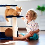 Tiernotfallkarte24-Vorsorge für Katzen