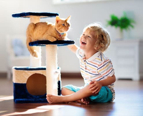 Tiernotfallkarte24-Vorsorge für Katzen