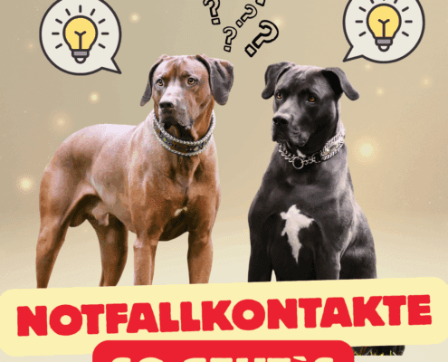 Notfallkontakte so geht*s