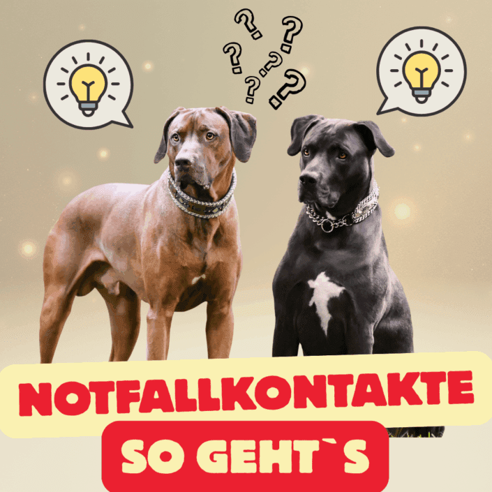 Notfallkontakte so geht*s