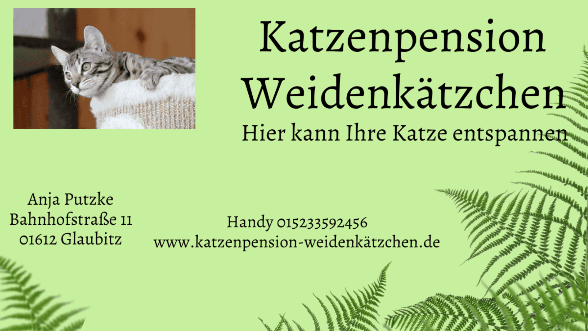 Partnerseite Katzenpension Weidenkaetzchen